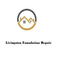 Livingston Foundation Repair image 6